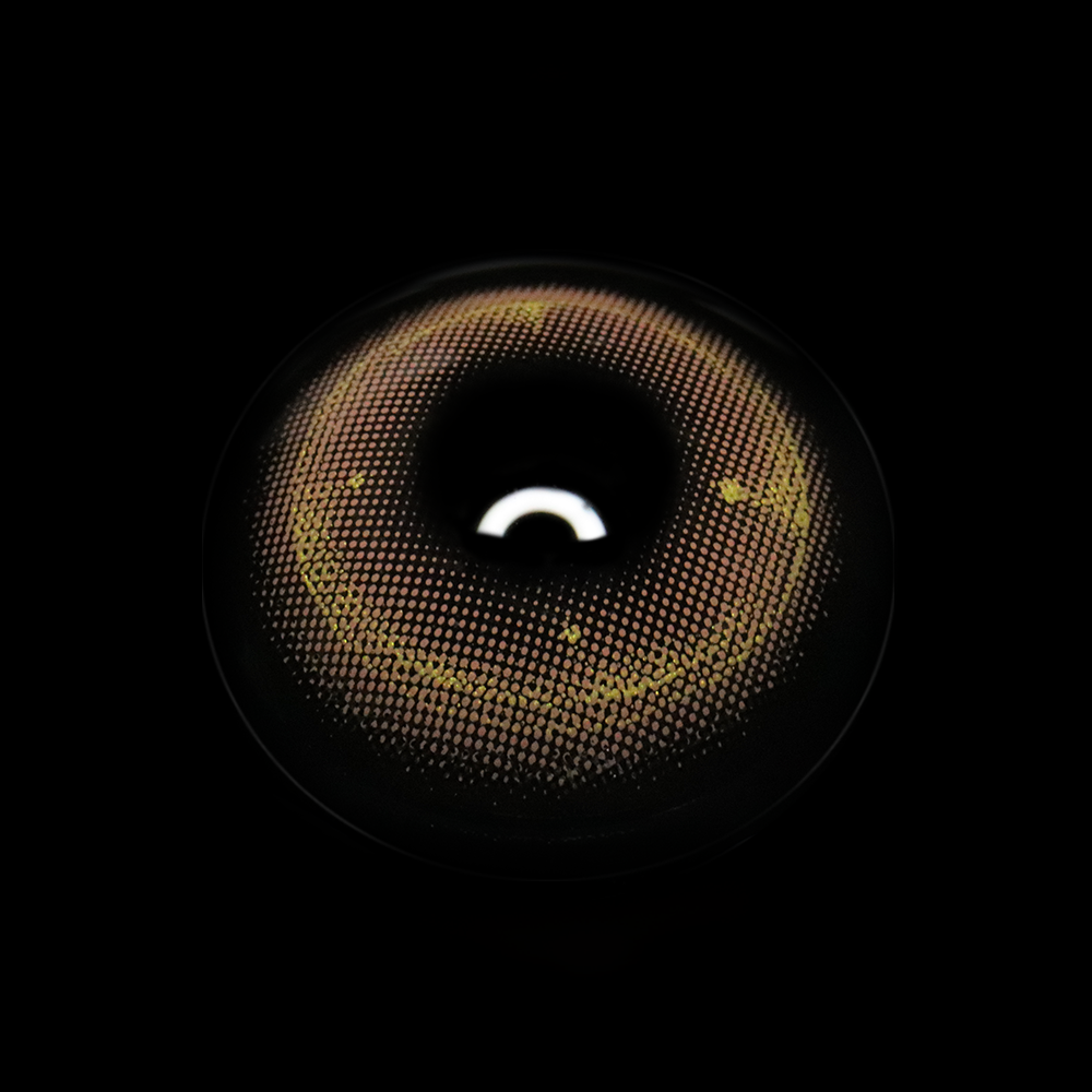 Shaula Brown Prescription Coloured Contact Lenses